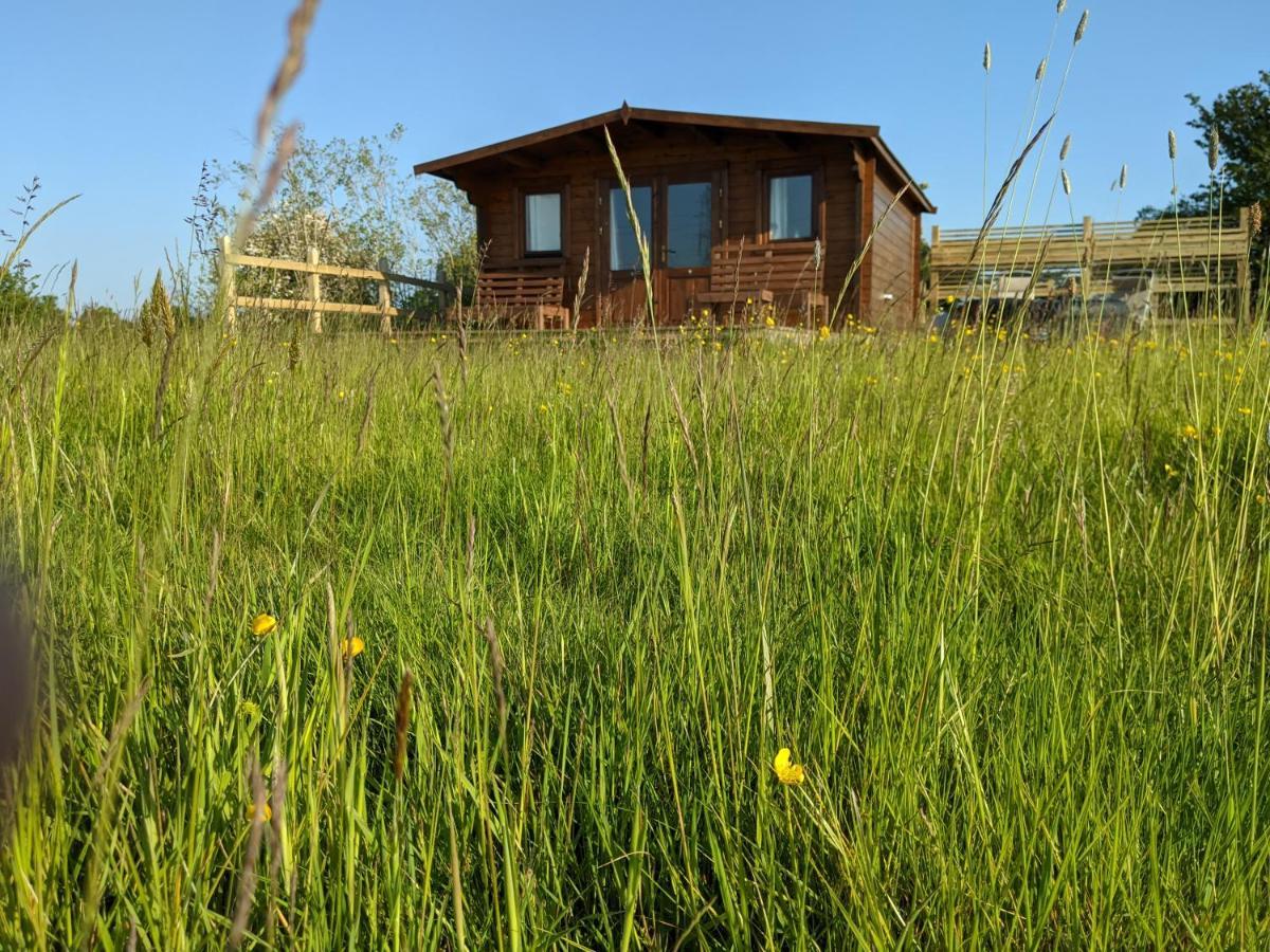 Foxhill Lodges Кэнтербари Экстерьер фото